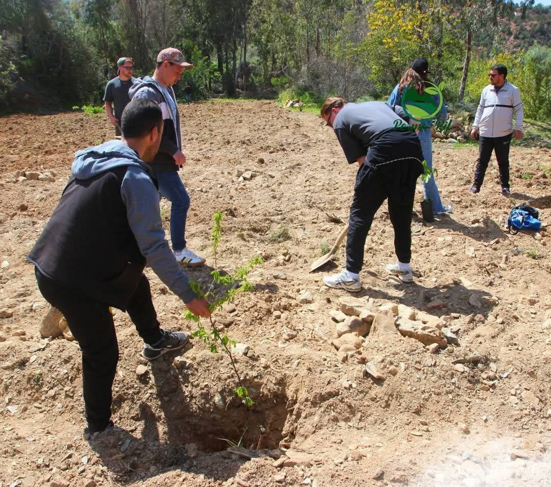 6e5537eaec2417a91d0755d8894b8d03