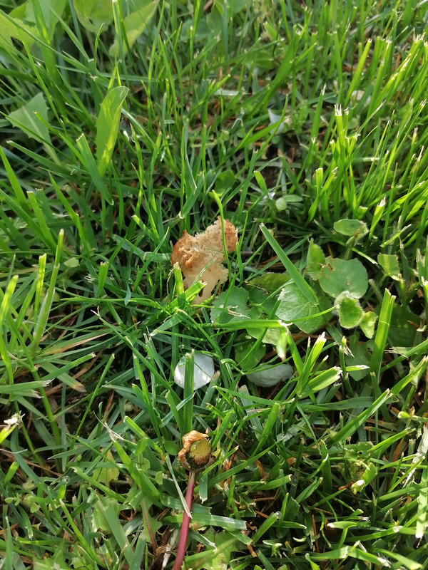 IMG_20230426_085630
