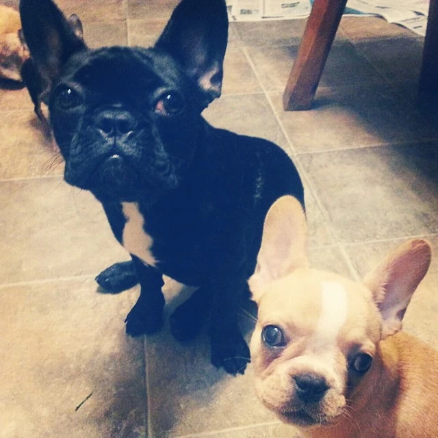 8-25-14-Instagram-003.webp