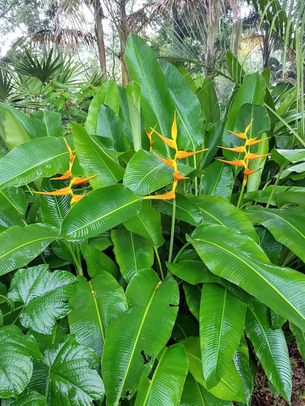 0804231417c_HDR.jpg.17d99a6fef47c2b3d9e70fc386c327c6