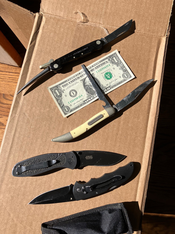 1B425425-D1E4-4898-9E99-3C34F3CA4A95