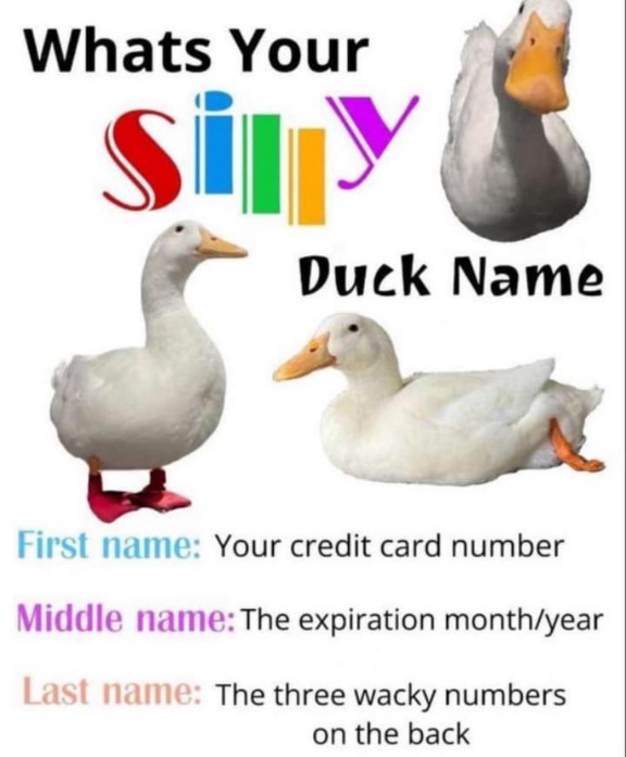 [Image: Silly.jpg]