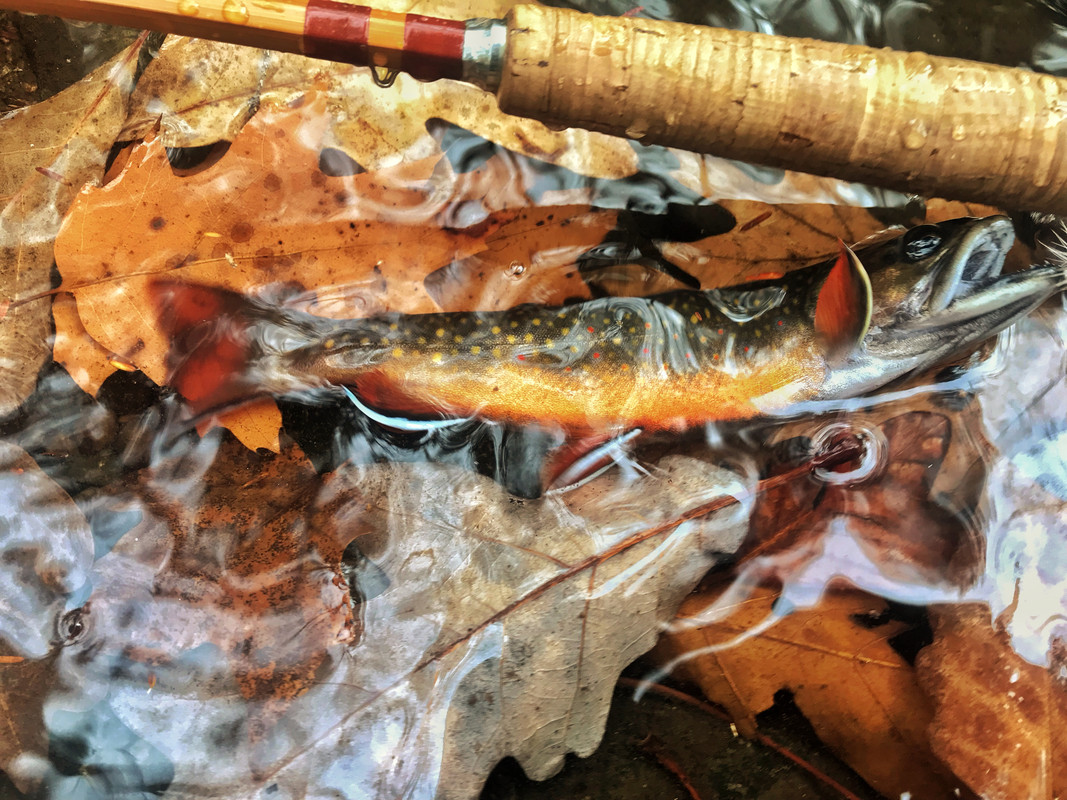 5DEEAAA3-6CF2-4275-9E75-B944959187F4