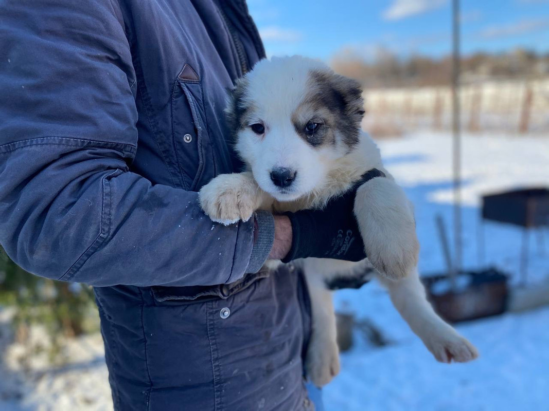 70638291-C774-4EAF-B4EB-C56AED48A956