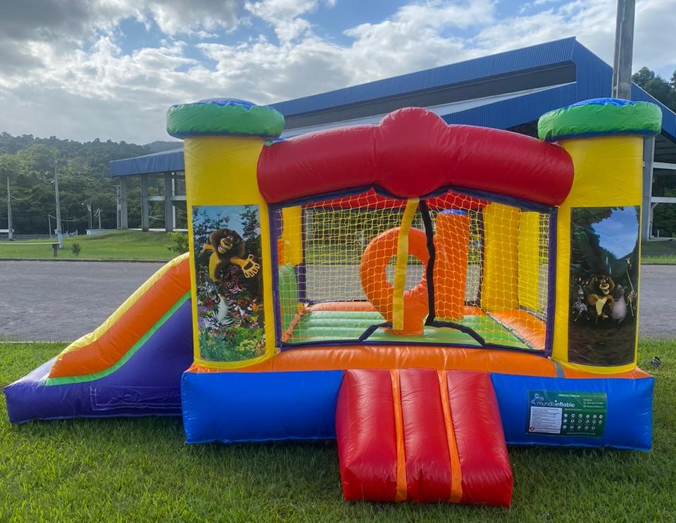 Pula-Pula com Escorrega Madagascar - Foto 2