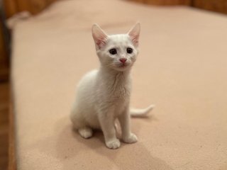 94BDD2CF-70A1-47AF-88E3-056D4C7288DC