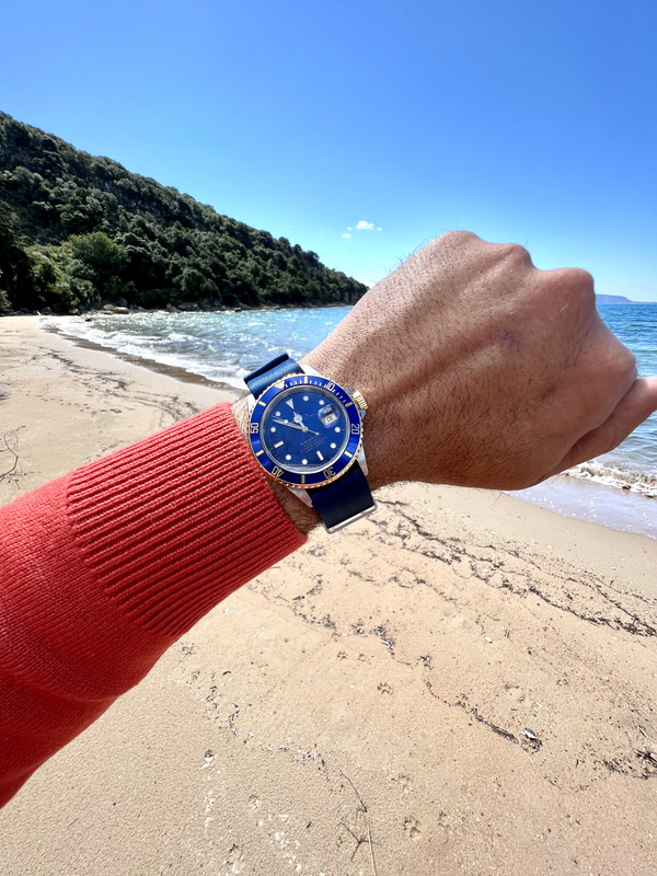 E147B545-6701-41E6-A75D-A1474E800DEB