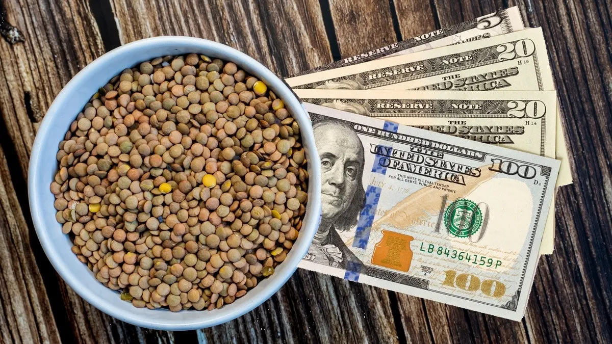 ¿Qué hacer para multiplicar el dinero? Haz este ritual con lentejas en Año Nuevo