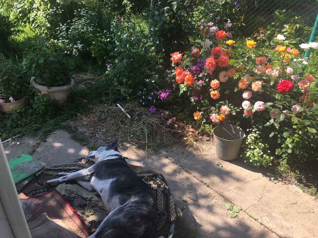 A39AC129-0043-4778-BA52-3D5ED1256B1D