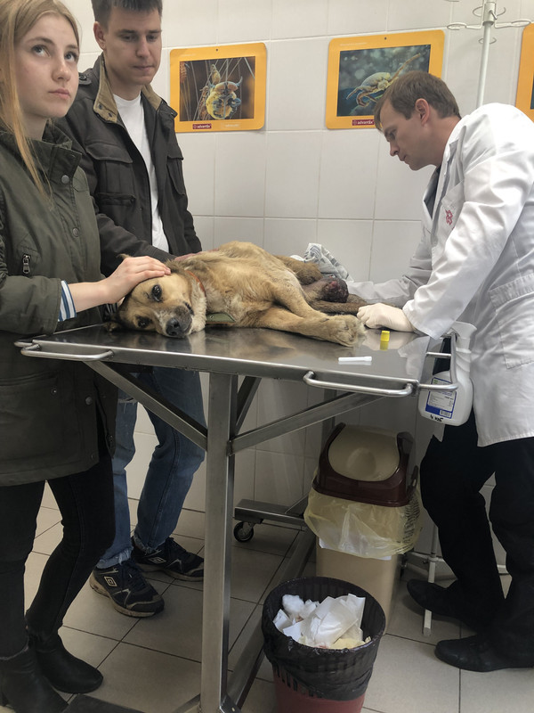 490B36BA-EFDE-458D-8914-AE1060DB936A