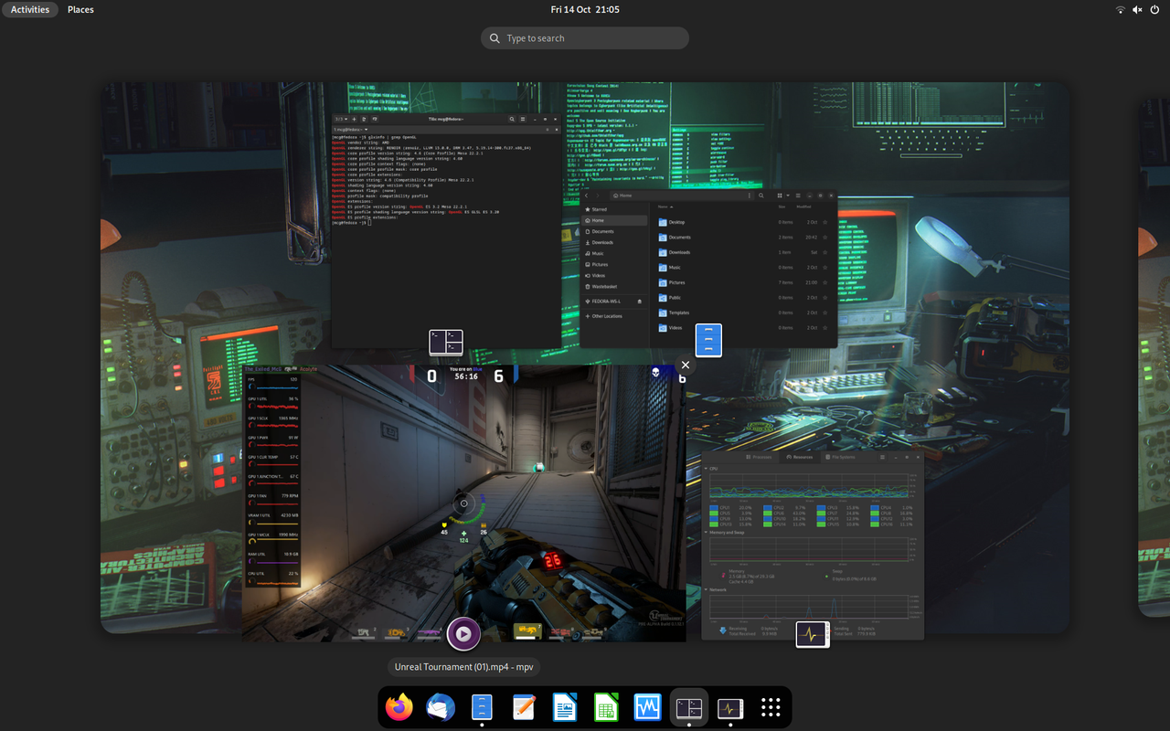 Fedora Workstation (06)
