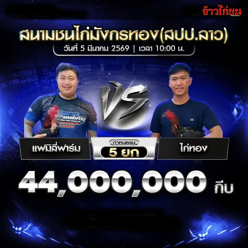 คู่ที่ 1 แฟมิลี่ฟาร์ม พบ ไก่ทอง โปรแกรมไก่ชน สนามชนไก่มังกรทอง 5 มีนาคม 2569