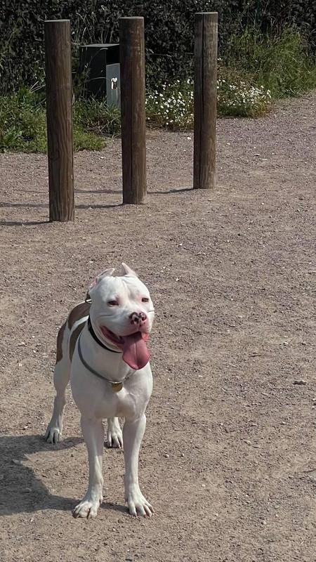 40D265E9-2F5F-4E28-9B3B-E80D481B6661