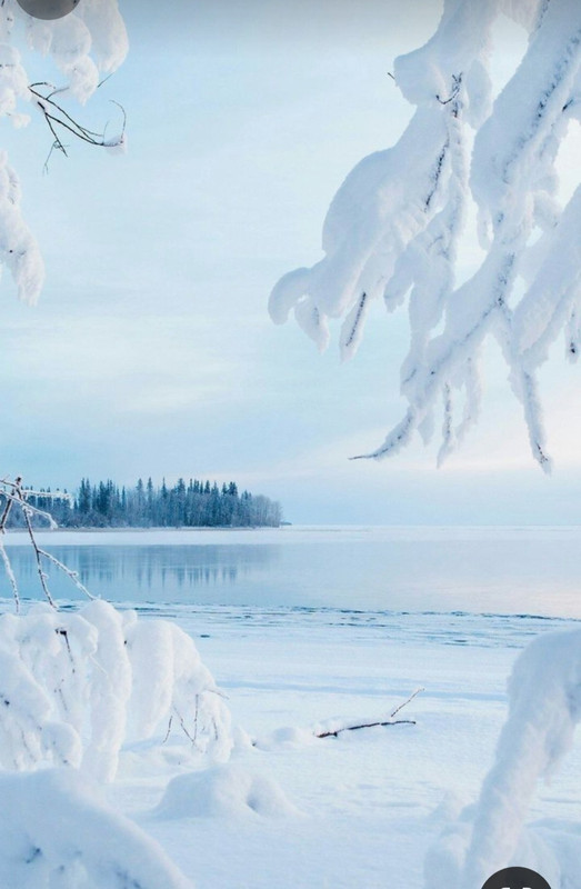 Screenshot_20231212_202652_Pinterest