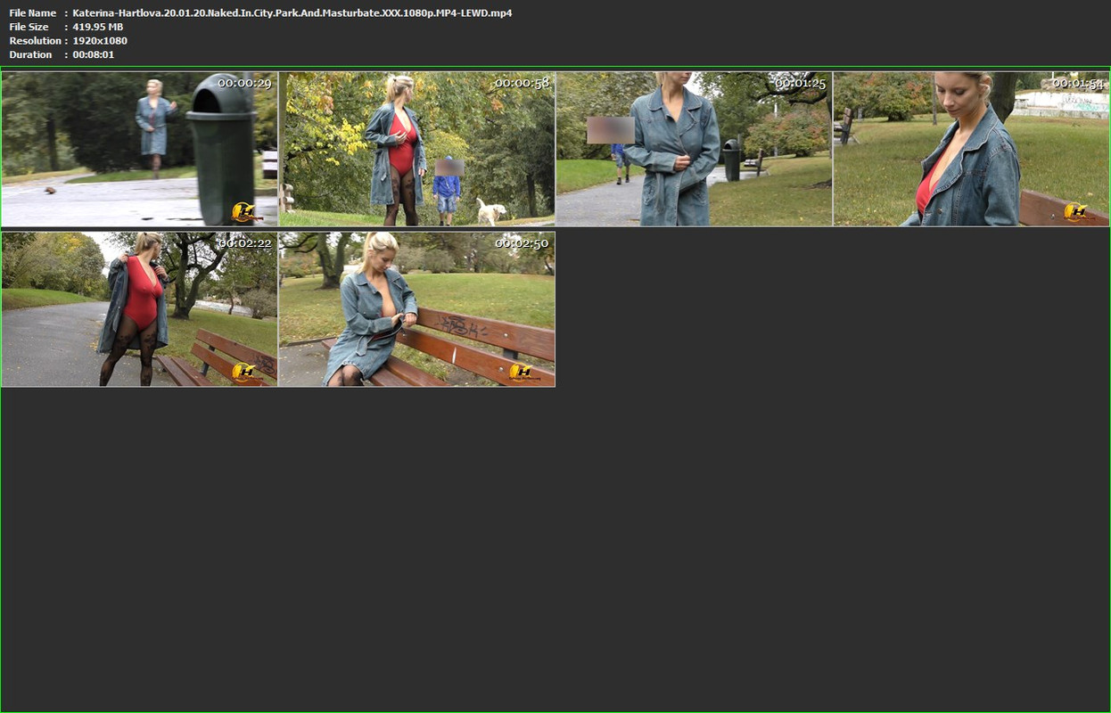 30052024235151screenshot
