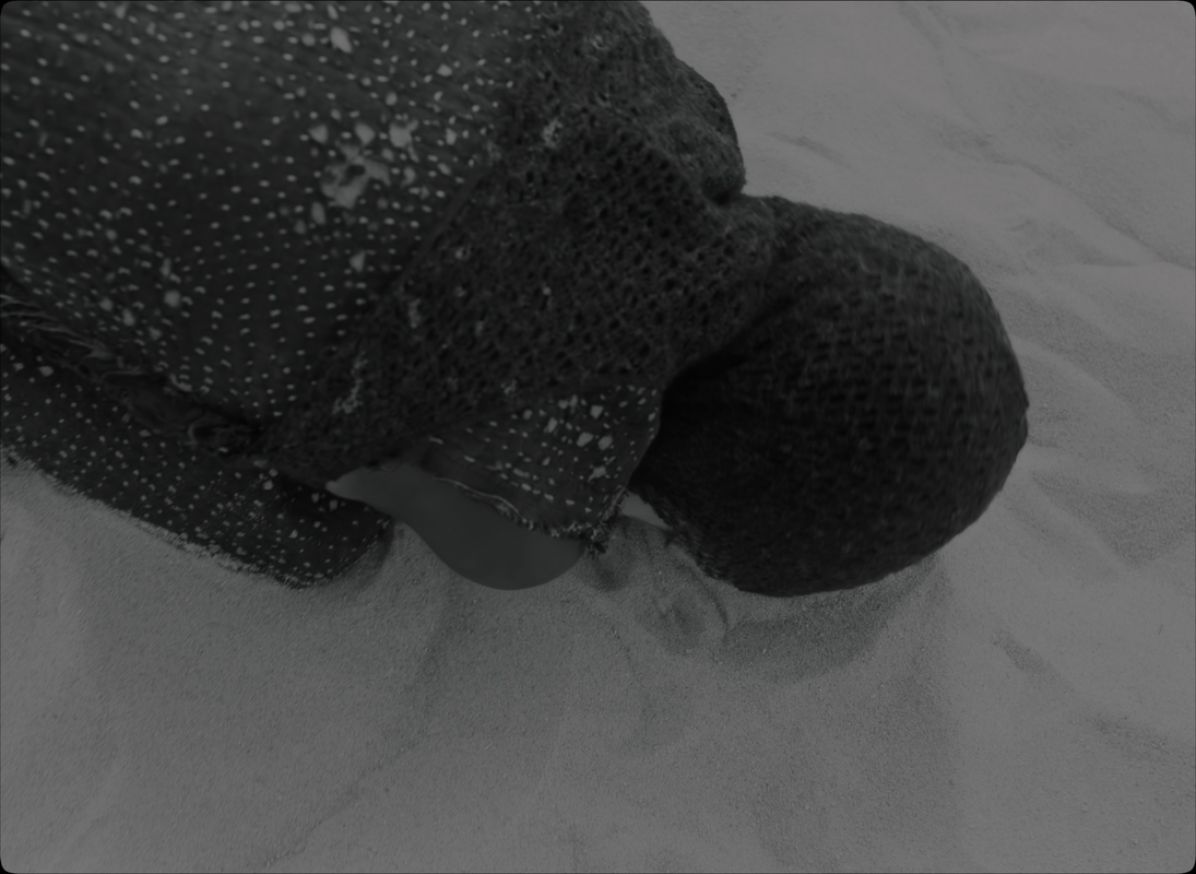 vlcsnap-2022-01-15-20h25m11s104