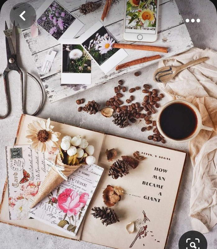 Screenshot_20230930_153043_Pinterest