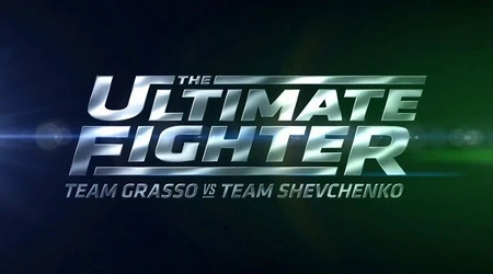  The Ultimate Fighter 