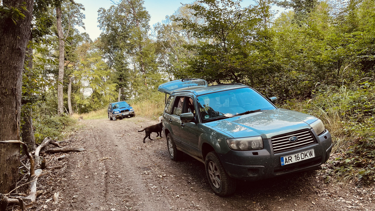 8DCECF88-77CC-4D77-969A-16B68E542918