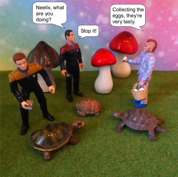 Turtles1-IG