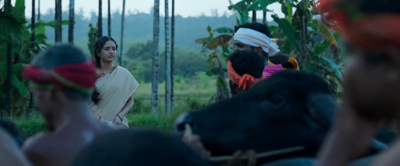 vlcsnap 2026 02 14 10h22m41s436