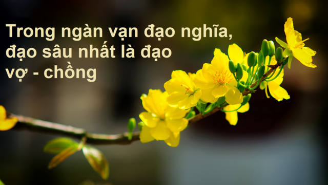 [Image: saunhat.png]