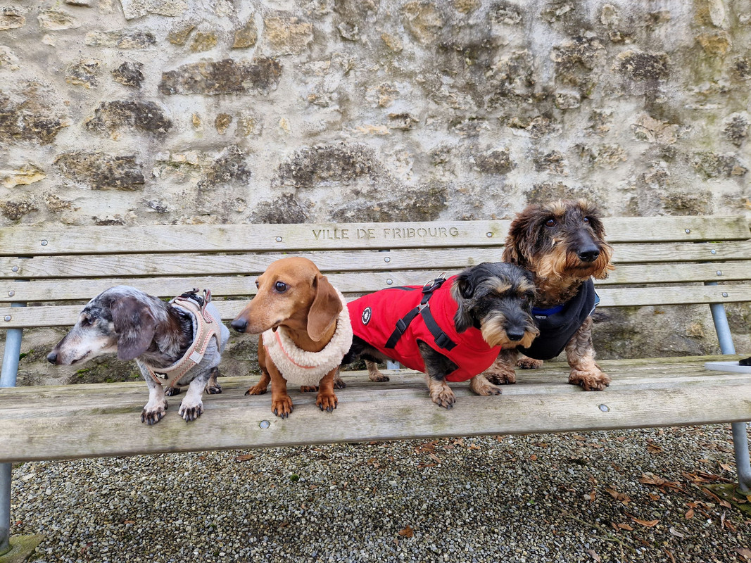 [Image: 20241201-110704.jpg]