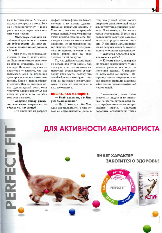 Друг кошек № 4 2009-12