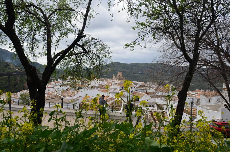 Córdoba y sus pueblos-2017/2020 - Blogs of Spain - ZUHEROS-6-3-2017 (154)