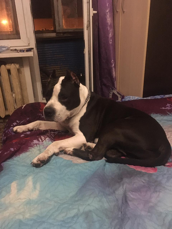 563EC50A-AE73-40E1-844C-D4D3976828FE