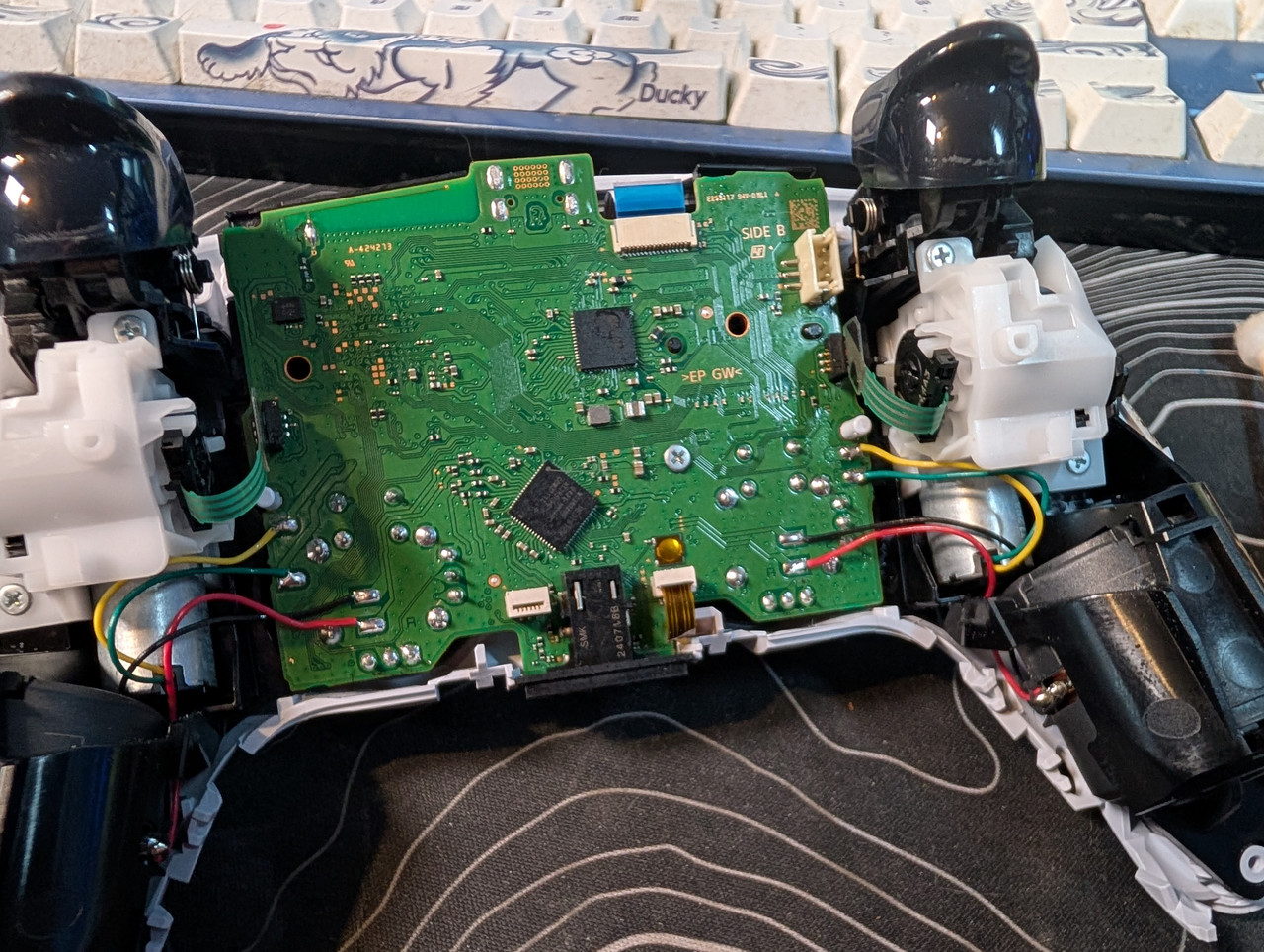 PXL 20260215 104341120