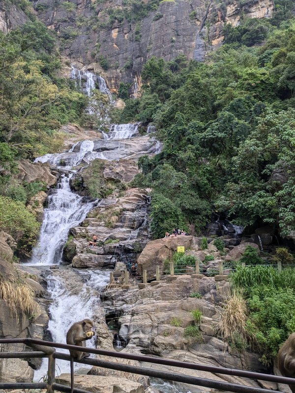Día 6. Safari en Yala y llegamos a Ella - Tuktukeando tres semanas en Sri Lanka (4)