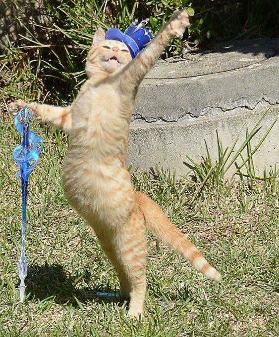 morning-picdump-26-5.jpg