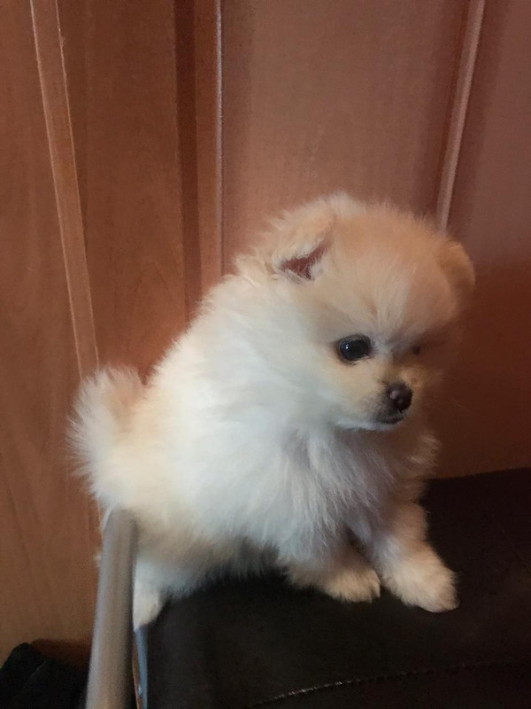 3185BAAD-CC6E-4CCF-A1E0-A8FB9026132F