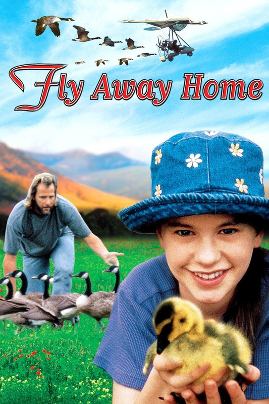 Download Fly Away Home 1996 BluRay Dual Audio Hindi ORG 1080p | 720p | 480p [350MB] download