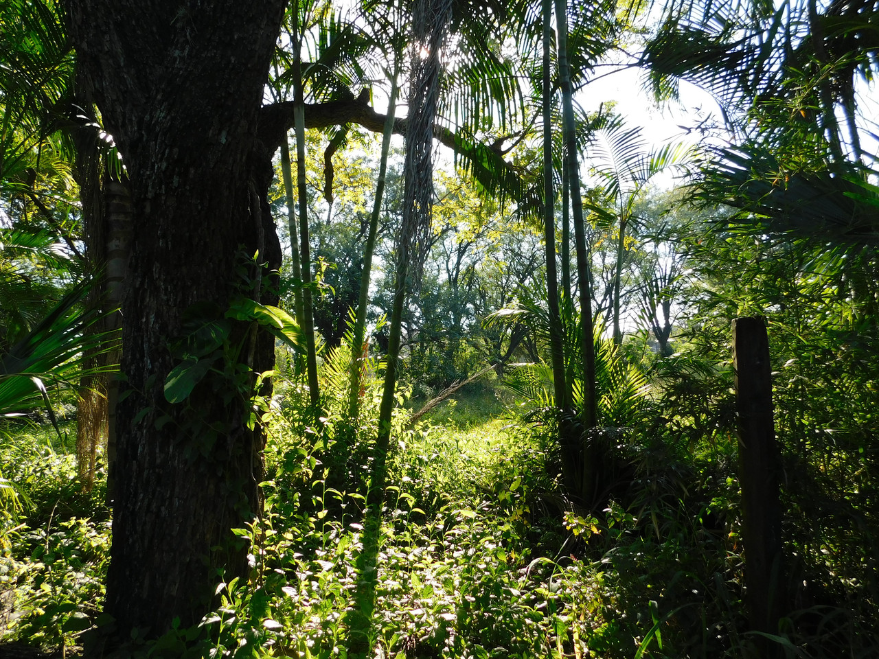 DSCN0380