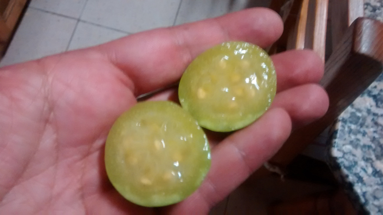 IMG_20151218_204246027