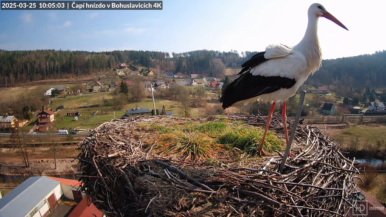 Tiešraidē no uzņēmuma KARA stārķa skursteņa Bohuslavicē pie Trutnovas 11-32-8 screenshot (1)