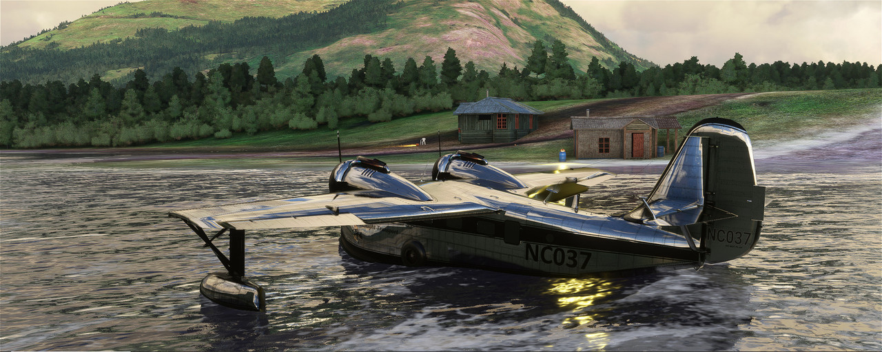 Goose-28.jpg