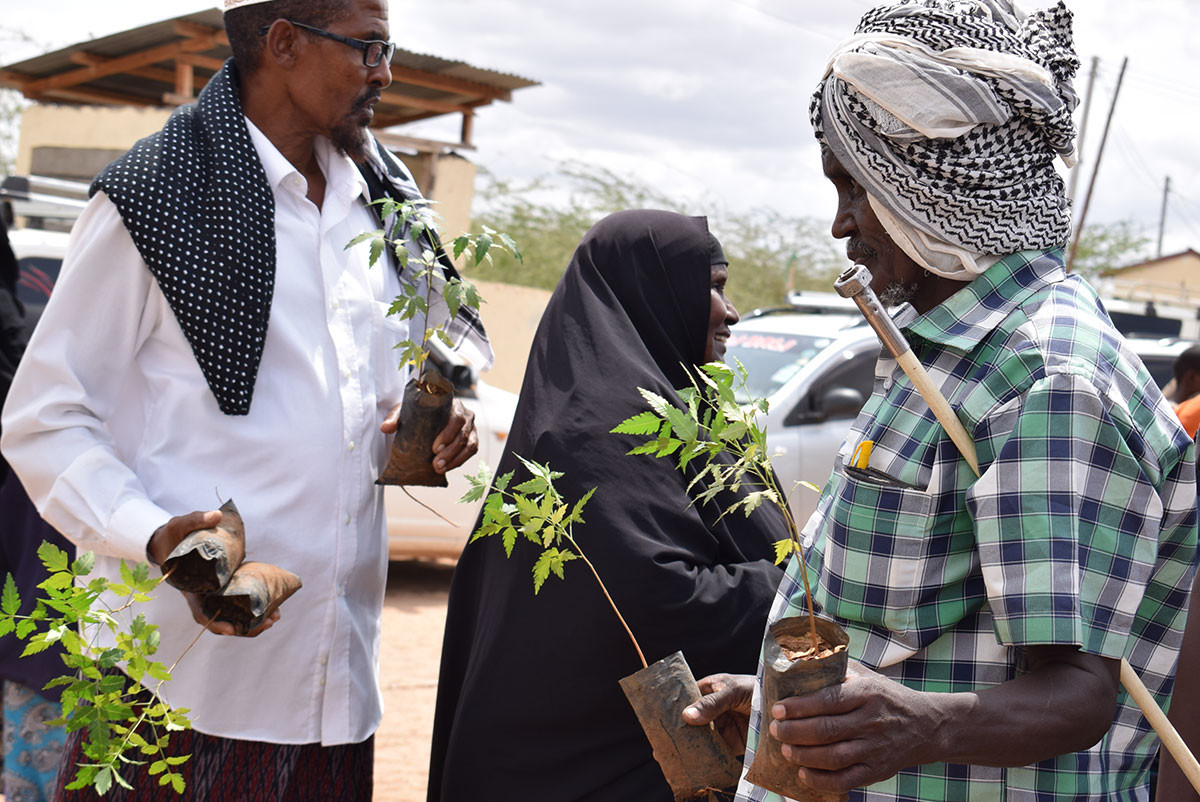 Protecting Land and Resources