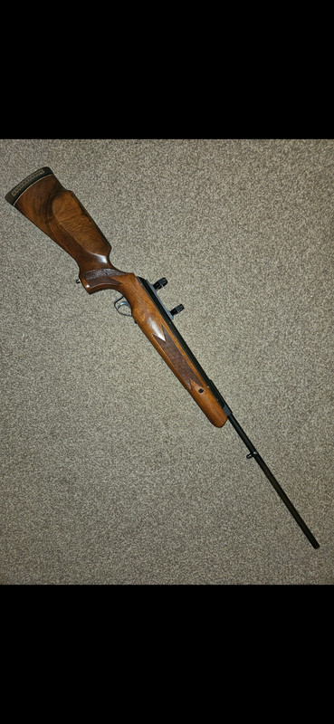 Screenshot_20250216_123402_Gallery