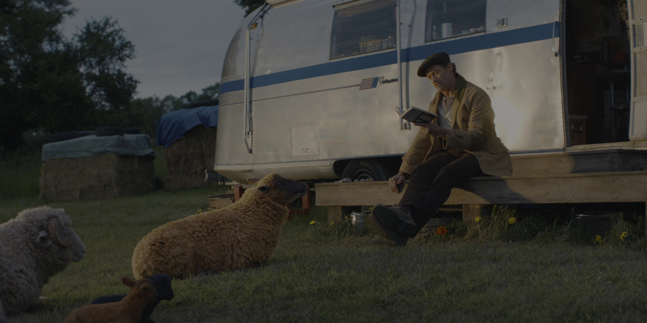 Movie cover image