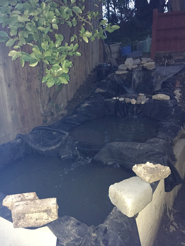 16AA41D2-7EDA-4735-8CAA-82EF44CC9289