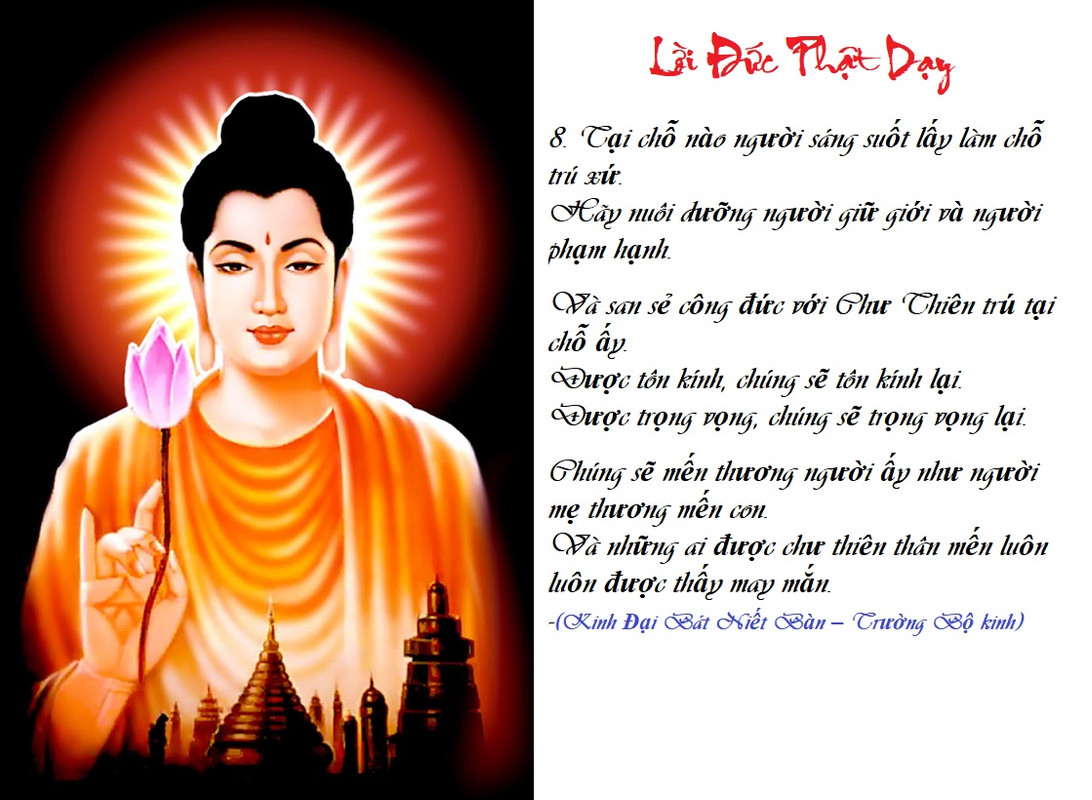 [Image: LD-C-A-C-PH-T-08.jpg]