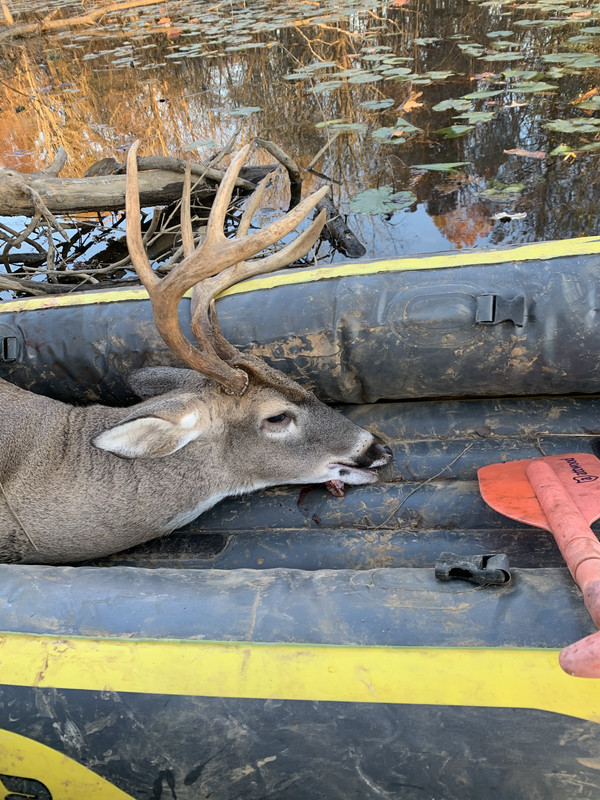 C0DF467B-6AF5-4346-9553-DC1A2FCEC2AA