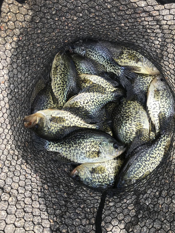 5F2B4357-575C-4B33-8403-AABDFD666100