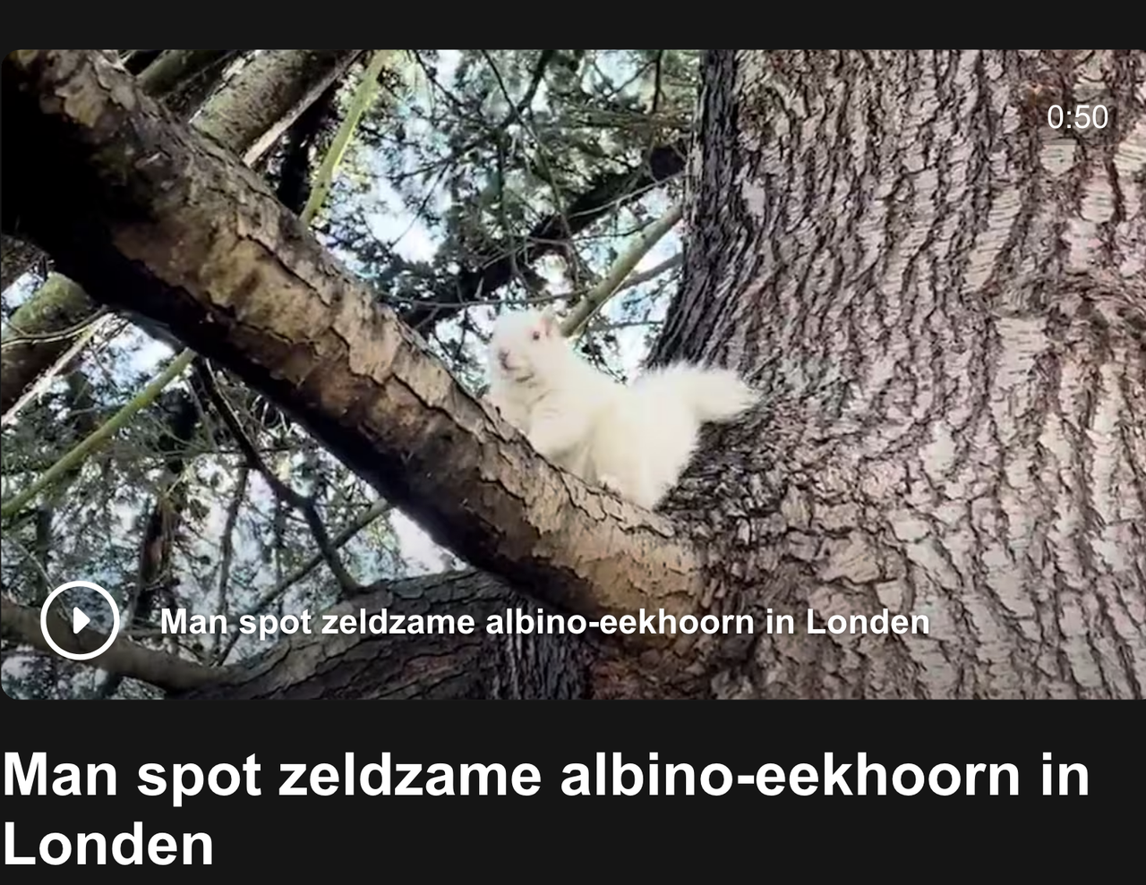 Scherm-afbeelding-2026-05-20-om-19-23-03.png