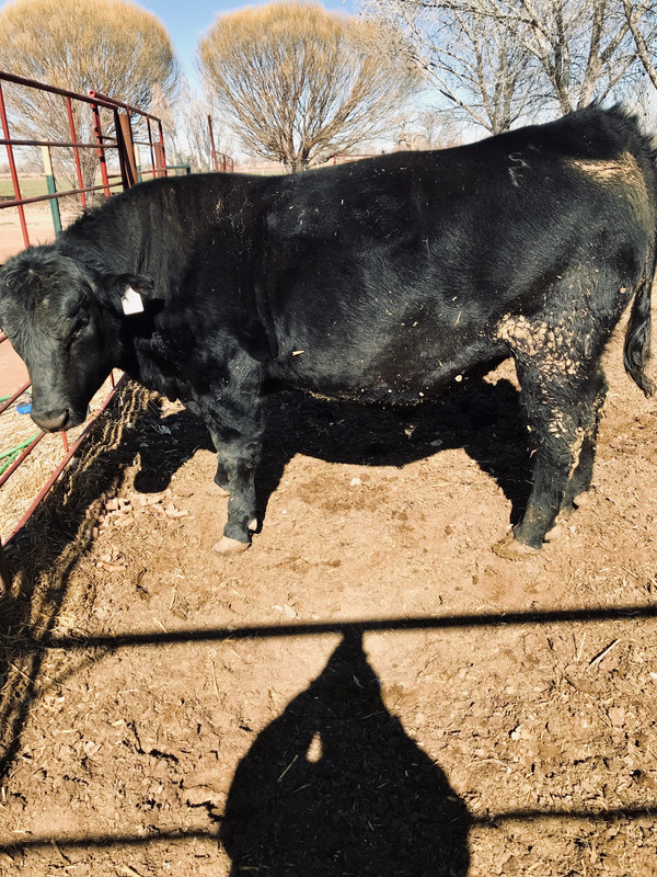 7E464C16-7FA7-4934-9D49-231AA1CAAC88