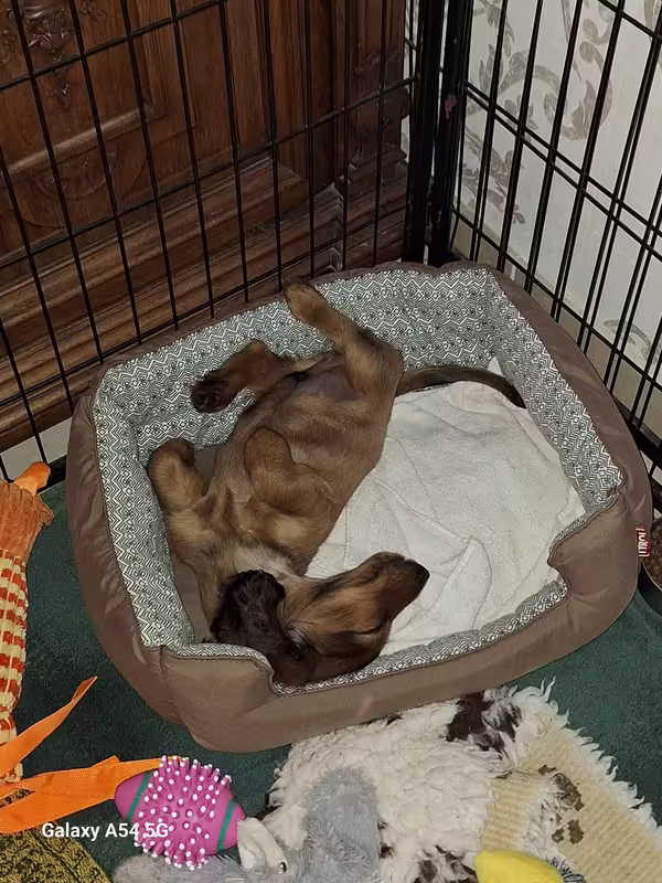 [Image: 20240907-201943.avif]