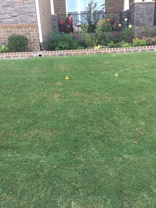 1DB04A80-3ED7-4BF7-B760-70D202F664A1